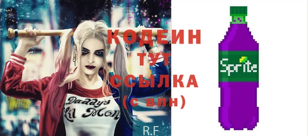 ECSTASY Алзамай