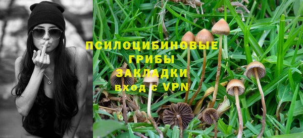героин Рославль