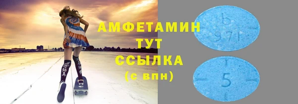 ECSTASY Алзамай