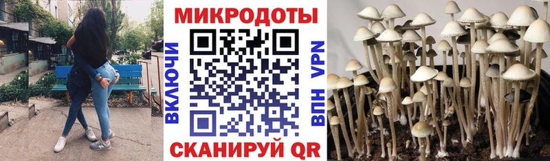 Галлюциногенные грибы ЛСД  закладка  Дюртюли 