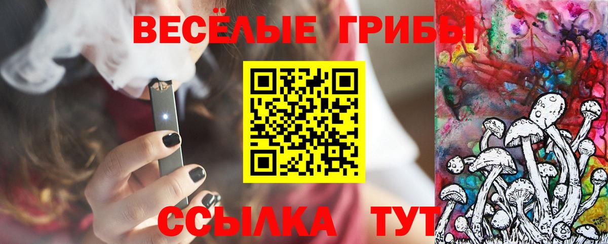 Дюртюли  Псилоцибиновые грибы мицелий  наркошоп  Вход с VPN 