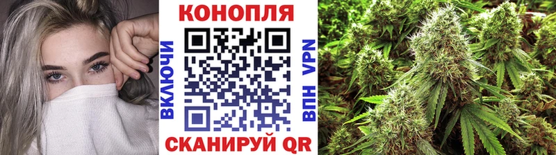 Шишки марихуана планчик  как найти закладки  Дюртюли 